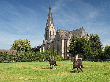 Kirche in Bawinkel mit Pferden davor
